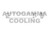 AUTOGAMMA 102749 Condenser, air conditioning
